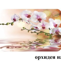БОСТОН - 2 опоры Брифинг в Нягани - nyagan.mebel24.online | фото 4