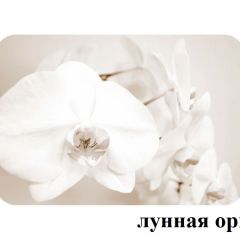 БОСТОН - 2 опоры Триумф в Нягани - nyagan.mebel24.online | фото 18