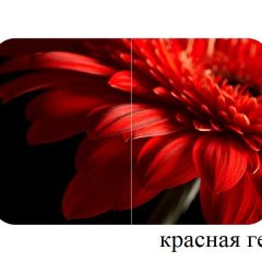 БОСТОН - 2 опоры Триумф в Нягани - nyagan.mebel24.online | фото 50