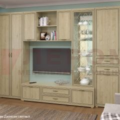 Гостиная Карина Композиция 21 (Гикори Джексон светлый) в Нягани - nyagan.mebel24.online | фото 6