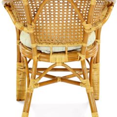 Кресло Пеланги 02/15 (Мёд) Подушка на молнии в Нягани - nyagan.mebel24.online | фото 3