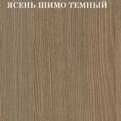 Кровать 2-х ярусная с диваном Карамель 75 (Музыка) Ясень шимо светлый/темный в Нягани - nyagan.mebel24.online | фото 5