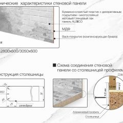 Кухонный фартук со столешницей (А-01) в едином стиле (3050 мм) в Нягани - nyagan.mebel24.online | фото 7