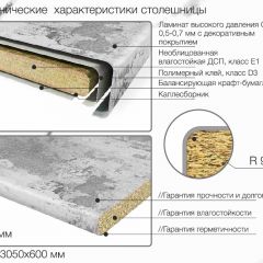 Кухонный фартук со столешницей (А-06) в едином стиле (3050 мм) в Нягани - nyagan.mebel24.online | фото 6