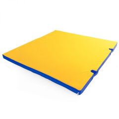 Мат гимнастический 1х1х0,05м с вырезом под стойки цв. синий-желтый в Нягани - nyagan.mebel24.online | фото