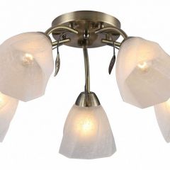 Потолочная люстра Rivoli Olivia Б0052693 в Нягани - nyagan.mebel24.online | фото