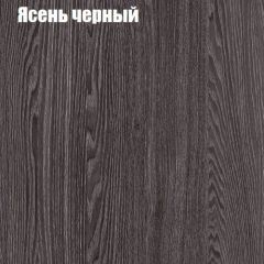 Прихожая ДИАНА-4 сек №14 (Ясень анкор/Дуб эльза) в Нягани - nyagan.mebel24.online | фото 3