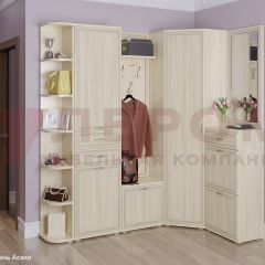 Прихожая Карина композиция 5 (Ясень Асахи) в Нягани - nyagan.mebel24.online | фото