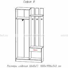 Прихожая София 8 в Нягани - nyagan.mebel24.online | фото 2