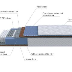 PROxSON Матрас Active Duo M/F (Ткань Трикотаж Эко) 200x190 в Нягани - nyagan.mebel24.online | фото 7