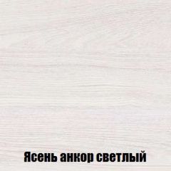 Шкаф 2-х створчатый МСП-1 (Ясень Анкор светлый) в Нягани - nyagan.mebel24.online | фото 4