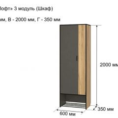ОЛЬГА-ЛОФТ 3 Шкаф 2-х створчатый в Нягани - nyagan.mebel24.online | фото 4