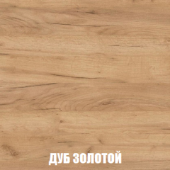 Шкаф 3-х створчатый МСП-1 (Дуб Золотой/Камень темный) в Нягани - nyagan.mebel24.online | фото 4