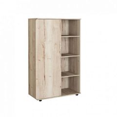 Шкаф комбинированный Дельта Лофт-13 Дуб Ирладндский в Нягани - nyagan.mebel24.online | фото
