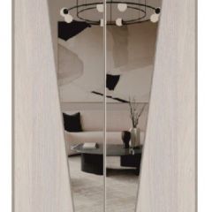 Шкаф-купе 1300 серии SILVER S3+S4+B2+PL4 (2 ящика+F обр.штанга) профиль «Серебро» в Нягани - nyagan.mebel24.online | фото 12