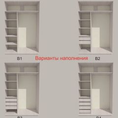Шкаф-купе 1300 серии SILVER S3+S4+B2+PL4 (2 ящика+F обр.штанга) профиль «Серебро» в Нягани - nyagan.mebel24.online | фото 5