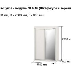 Шкаф-купе 1600 с зеркалом "Мария-Луиза 6.16" в Нягани - nyagan.mebel24.online | фото 4