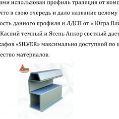Шкаф-купе 1700 серии SILVER S5+S5+B2+PL3 (2 ящика+2 штанги) профиль «Серебро» в Нягани - nyagan.mebel24.online | фото 4