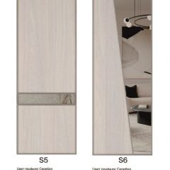 Шкаф-купе 1700 серии SILVER S5+S5+B2+PL3 (2 ящика+2 штанги) профиль «Серебро» в Нягани - nyagan.mebel24.online | фото 11
