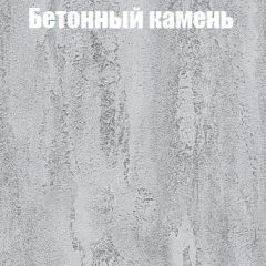 Шкаф-купе Бассо 1.0 (Дуб Крафт серый/Бетонный камень) 2 двери ЛДСП 1 зеркальная вставка в Нягани - nyagan.mebel24.online | фото 3