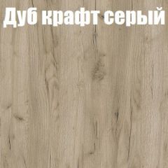 Шкаф-купе Бассо 1.0 (Дуб Крафт серый/Бетонный камень) 2 двери ЛДСП 1 зеркальная вставка в Нягани - nyagan.mebel24.online | фото 4
