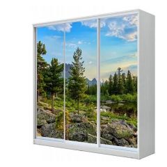Шкаф-купе ХИТ 23-20/2-777 (620) в Нягани - nyagan.mebel24.online | фото