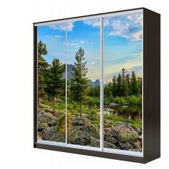 Шкаф-купе ХИТ 23-4-18-777 (420) в Нягани - nyagan.mebel24.online | фото 1