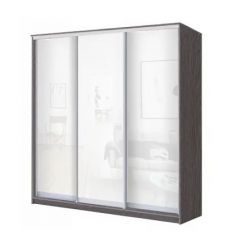 Шкаф-купе ХИТ 23-4-20-888 (420) в Нягани - nyagan.mebel24.online | фото 1