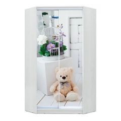 Шкаф-купе ХИТ-У-24-4-77 в Нягани - nyagan.mebel24.online | фото