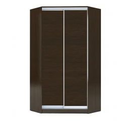 Шкаф-купе ХИТ-У-L-22-64-11 в Нягани - nyagan.mebel24.online | фото 2