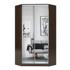 Шкаф-купе ХИТ-У-R-23-64-55 в Нягани - nyagan.mebel24.online | фото