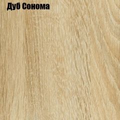 Шкаф-купе Лофт 1600 Шк16-47 (Дуб Сонома) в Нягани - nyagan.mebel24.online | фото 4