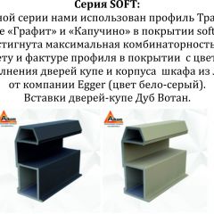 Шкаф-купе 1400 серии SOFT D1+D3+B2+PL1 (2 ящика+1штанга) профиль «Графит» в Нягани - nyagan.mebel24.online | фото 5