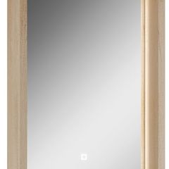 Шкаф-зеркало Nice 45 с подсветкой Домино (DN4704HZ) в Нягани - nyagan.mebel24.online | фото 1