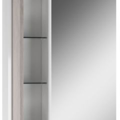 Шкаф-зеркало Uno 60 Дуб серый левый/правый Домино (DU1503HZ) в Нягани - nyagan.mebel24.online | фото 3