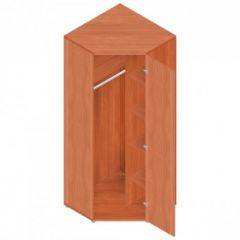 Шкаф для одежды "Референт" Р.Ш-10 в Нягани - nyagan.mebel24.online | фото