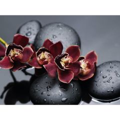 Стол обеденный Бостон Ст101.1 орхидеи в Нягани - nyagan.mebel24.online | фото 3