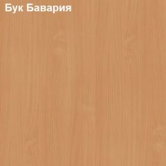 Стол-приставка Логика Л-2.07 (опора "Ронделла") в Нягани - nyagan.mebel24.online | фото 2