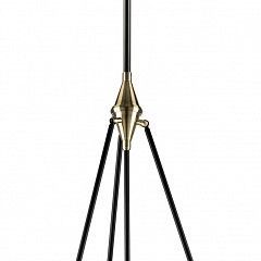 Светильник на штанге Lightstar Modena 816047 в Нягани - nyagan.mebel24.online | фото