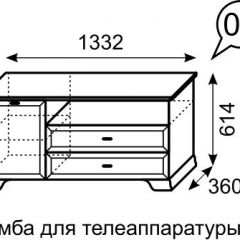 Тумба для телеаппаратуры Венеция 6 бодега в Нягани - nyagan.mebel24.online | фото 2