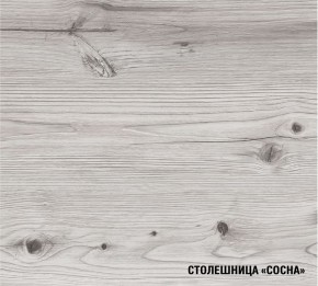 АСАЯ Кухонный гарнитур Экстра (3000 мм) в Нягани - nyagan.mebel24.online | фото 8