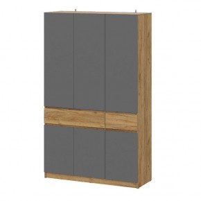 АВИНЬОН Прихожая Шкаф 3-х створчатый с ящиками в Нягани - nyagan.mebel24.online | фото