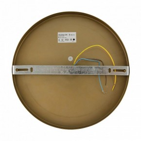 Бра Freya Zelda FR5125WL-01BS в Нягани - nyagan.mebel24.online | фото 6