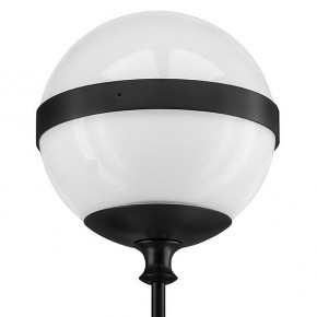 Бра Lightstar Globo 813617 в Нягани - nyagan.mebel24.online | фото 3