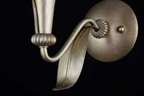 Бра Maytoni Lillian H311-01-G в Нягани - nyagan.mebel24.online | фото 7