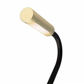 Бра Maytoni Stem C035WL-L3MG3K в Нягани - nyagan.mebel24.online | фото 6