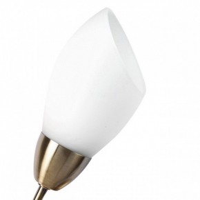 Бра MW-Light Нежность 7 356023001 в Нягани - nyagan.mebel24.online | фото 2