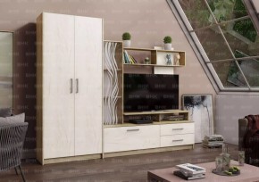 ДАРЬЯ Гостиная (Крафт серый/Крафт белый) в Нягани - nyagan.mebel24.online | фото
