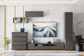 ДЕНВЕР Пенал (Графит серый) в Нягани - nyagan.mebel24.online | фото 4
