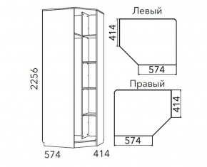 Детская Фанк Шкаф угловой Левый/Правый НМ 013.04-02 М в Нягани - nyagan.mebel24.online | фото 3